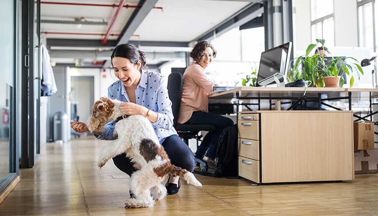 Las mascotas ayudan a tus trabajadores con sus necesidades emocionales