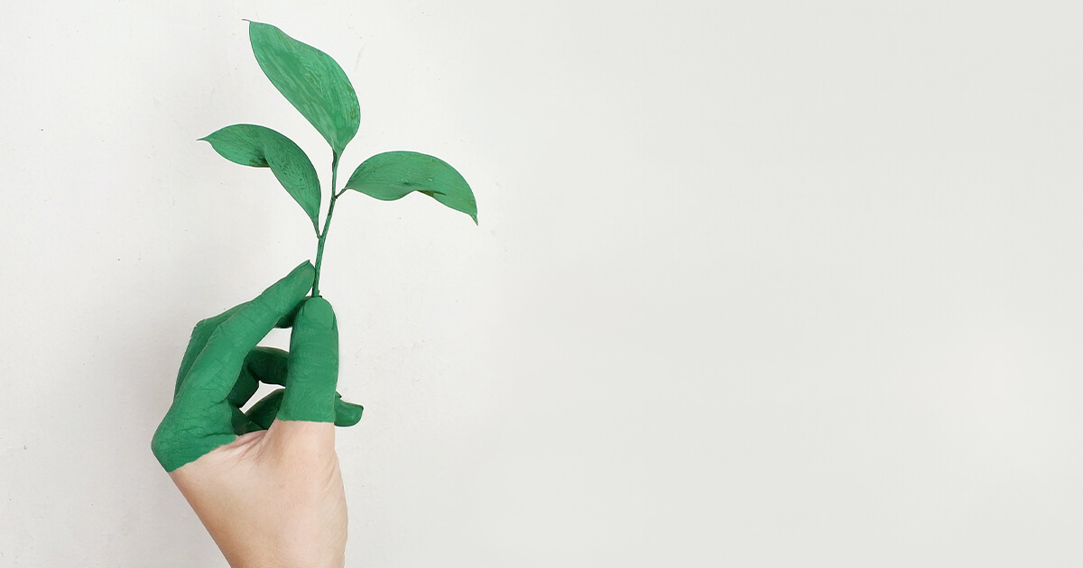 ¿Cómo puede un CMO ayudar a la sostenibilidad en las empresas?